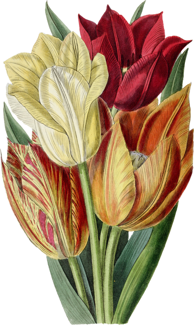 Floral Plant Illustration
